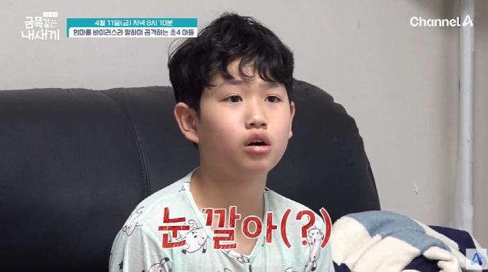 "꺼져! 미쳤어?" 초4 금쪽이, 母에 욕설+손찌검까지...오은영도 '충…