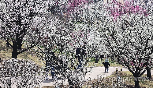 [길따라 멋따라] 삼성-LG, 이번엔 '정원' 놓고 격돌