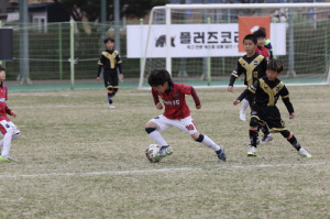 '양구, 유소년 축구의 꿈이 피어나는 곳' 2025 행복 양구컵 전국 유소년 축구클럽 페스티벌, 2일차 성황리 진행