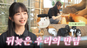 아이브 레이, 기니피그 가족 만나 '폭주기니' 안무 폭소..