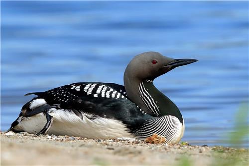 [연합뉴스 자료사진]