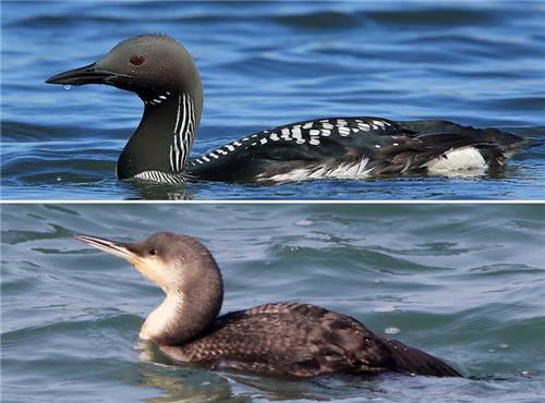 [연합뉴스 자료사진]