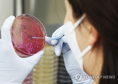 충남 노인건강축제서 도시락·떡 먹은 103명 식중독 의심 증세