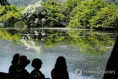 "초록색 자주 보면 집중력 올라가고, 스트레스는 줄어"