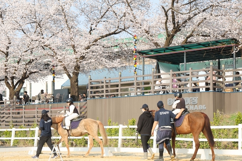 농림부·한국마사회, 도심지역 주민과 함께하는 '도심 승마 축제' 개최
