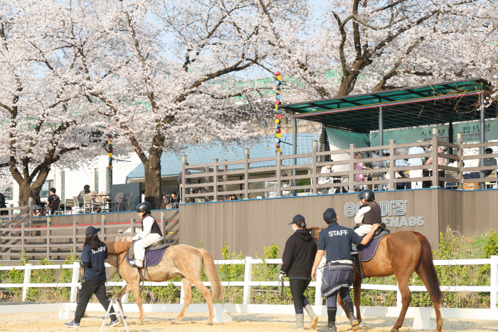 [경마]도심지역 주민과 함께하는 도심 승마 축제 개최