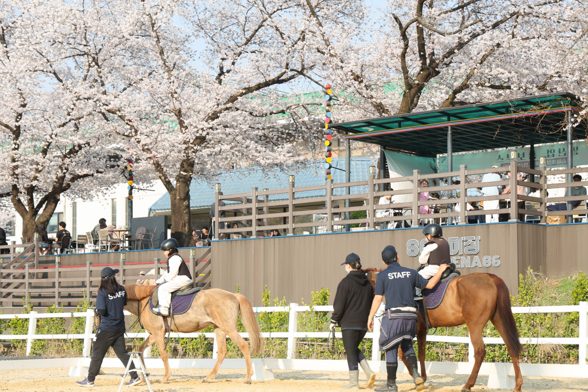 [경마]도심지역 주민과 함께하는 도심 승마 축제 개최