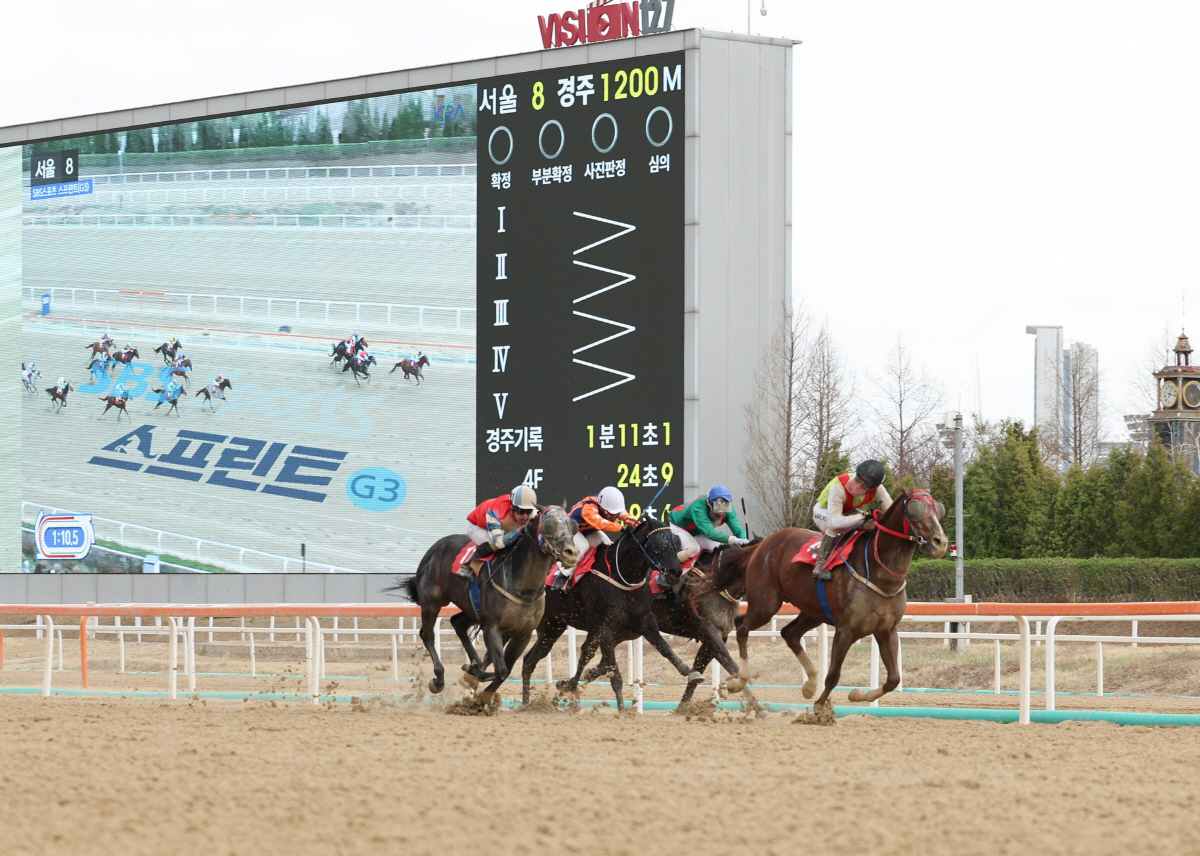 [경마]역시 단거리 최강자! '빈체로카발로', 또 한 번 날았다