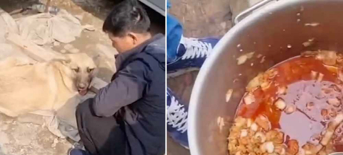 러시아 파견 북한 노동자, 개 잡아먹는다?…부인했지만 제재 위반 인정한 꼴