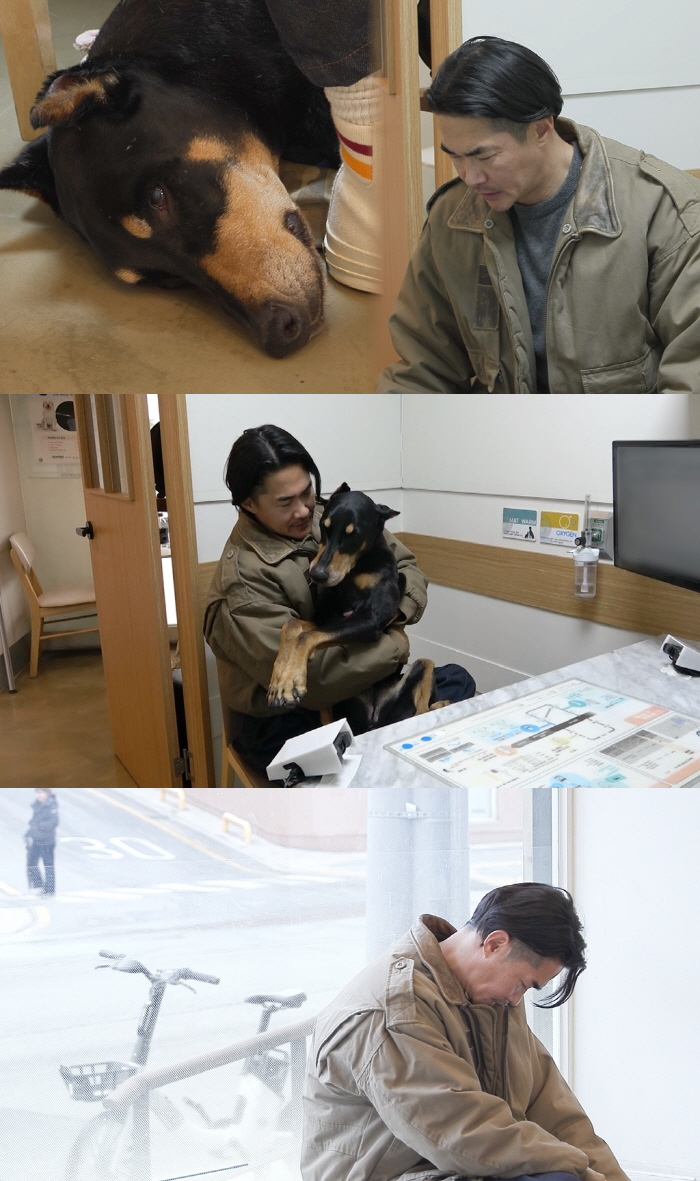 배정남 반려견, 전신마비 이겨냈건만...악성종양 '근육암'에 또 수술 "어떡하냐" ('미우새')