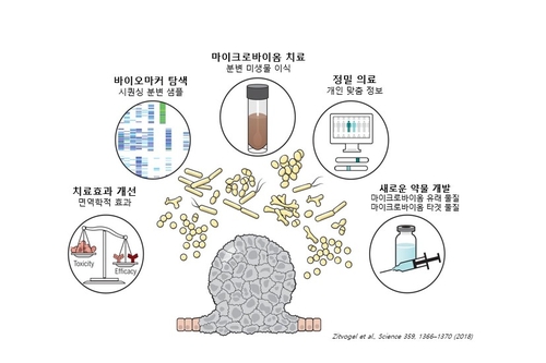 충북TP 스타트업, 마이크로바이옴 치료제 개발 나서 '주목'