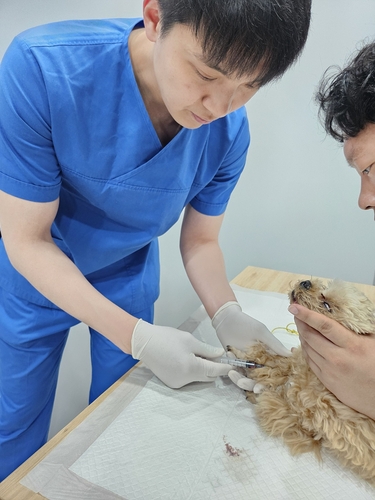 대구보건연구원, 젖소·개·고양이 인수공통감염병 검사