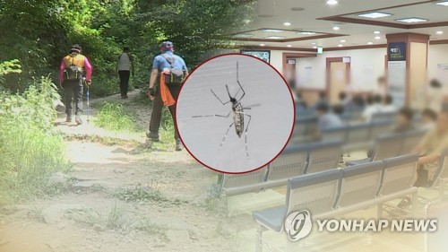 광주시, 모기 방역단 편성…하절기 방역체계 가동