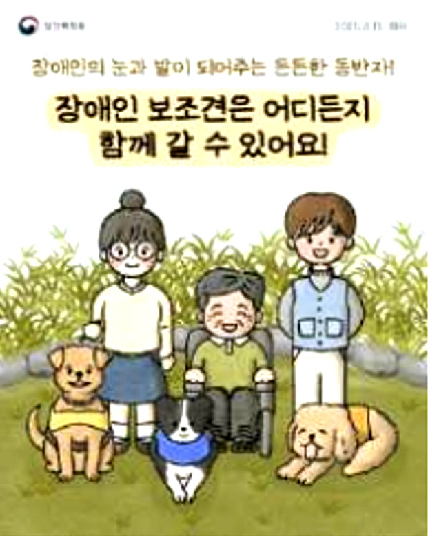 장애인 보조견 동반 출입 범위 명확해져…무균실·수술실 등 예외장소 구체화