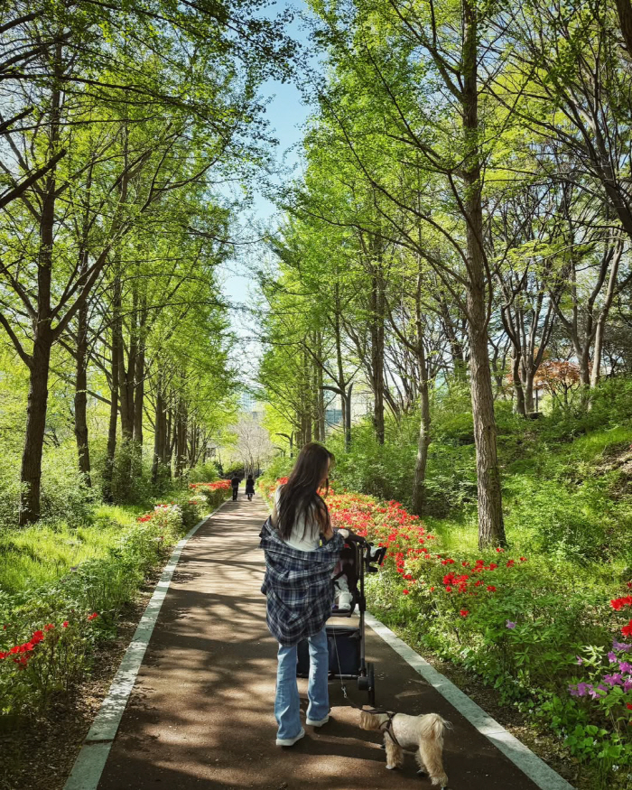 류시원, ♥19세 연하 아내+딸과 산책 "내 가족과 평온"
