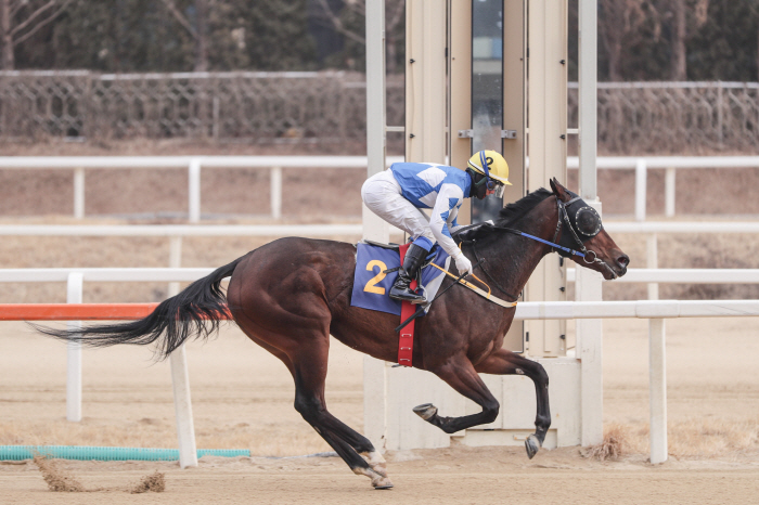 [경마]'암말들의 빅매치' 제36회 뚝섬배 제패할 여왕은
