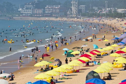 태안 22개 해수욕장 7월 5일 일제히 개장…8월 17일까지 운영
