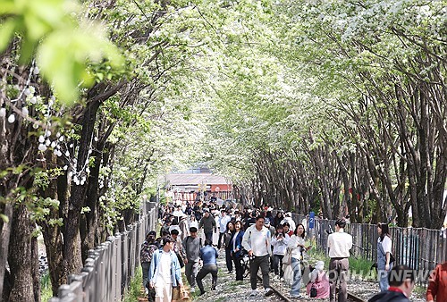 [픽! 전주] 하얀 눈꽃으로 수 놓인 전주 팔복동 철길