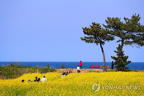 4월 마지막 날까지 건조…대전·대구 한낮 27도까지 올라