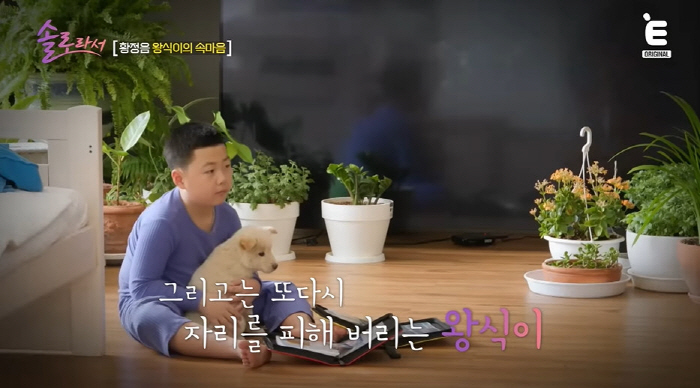 황정음 子, 첫째의 설움 "동생이 많이  때려..내가 때리려 하면 할머니…