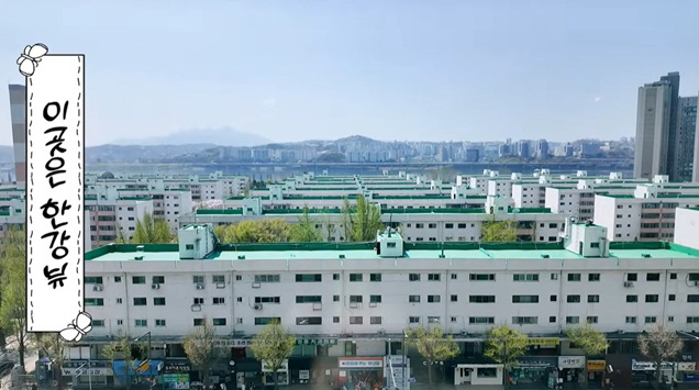 선우용여, 이촌동 아파트 재개발 호재 "한강뷰 평생"