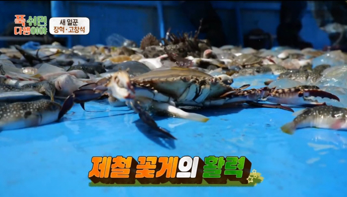 '푹다행' 장혁X고창석이 끌어올린 봄철 암꽃게, 심혈관 건강에 좋은 이유…
