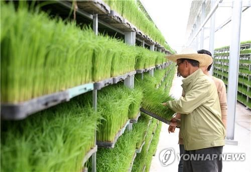 "남는 모 주고받고"…군산농업기술센터, 육묘 알선창구 운영