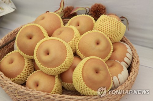 나주시, 배 활용 화장품 개발 등 상품화 추진