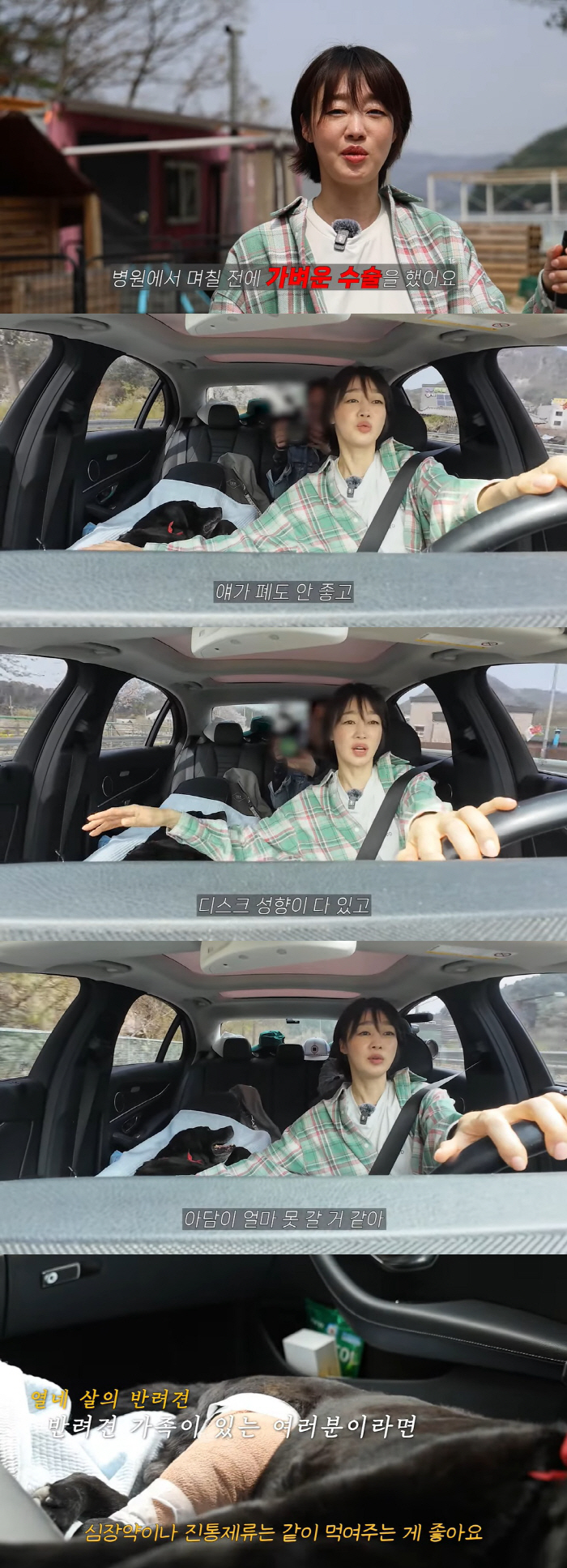 '6월 결혼' 최여진 "걷기도 힘들어해 얼마 못살 듯"..14살 반려견과…
