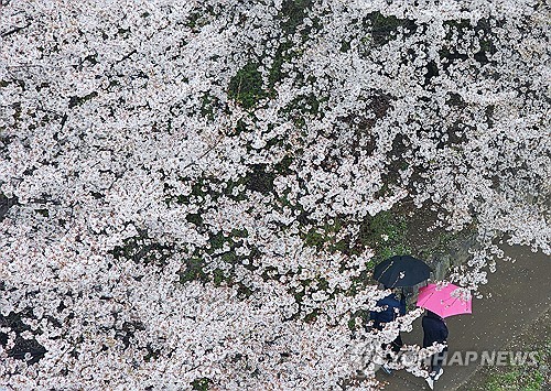 강원 흐리고 내일까지 내륙·산지 10∼40㎜ 비