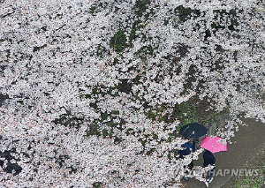강원 흐리고 내일까지 내륙·산지 10∼40㎜ 비