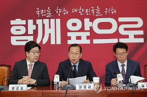 국민의힘 