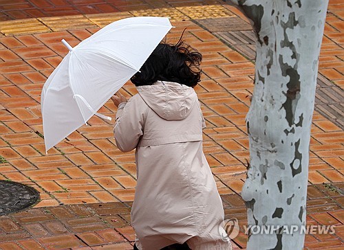 광주·전남 돌풍·천둥 비바람…싸락우박 주의