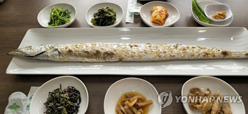 SNS 핫플 갈치전문 제주식당 62곳 원산지 표시 '이상 무'