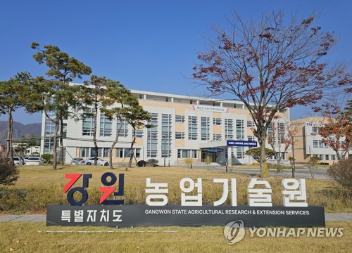 강원농업기술원, 강풍·우박 예보에 농작물 피해 대비 당부
