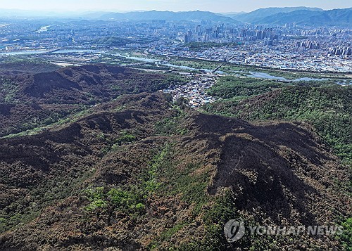 대구 북구 "함지산 산불 완전 진화…재발화 위험요소 없어"