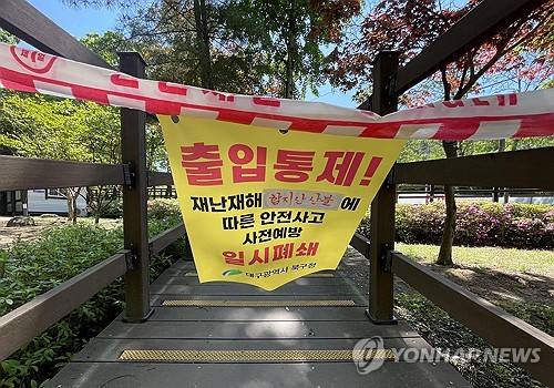 [르포] 불꺼진 대구 함지산 다시 가보니…비온 뒤에도 메마른 나뭇잎들
