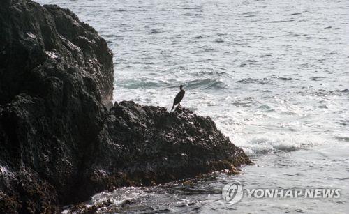 독도 출발 여객선, 너울성 파도로 유리 파손…승객 5명 부상