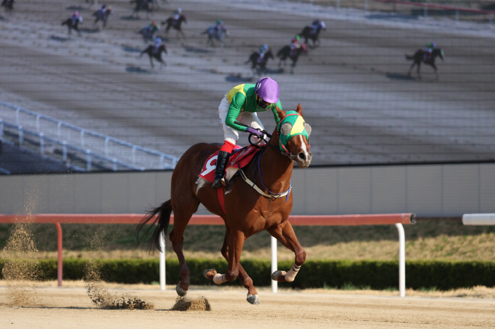 [경마]일생에 한번 뿐! 3세 최강마 가릴 코리안더비 승자는