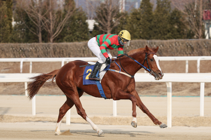 [경마]일생에 한번 뿐! 3세 최강마 가릴 코리안더비 승자는