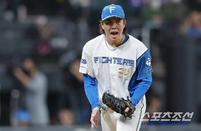 완봉승-완봉승-완투승, 시즌 1~3승 모두 완투로, 18년 전 다르빗슈 불러낸 3년차 우완[민창기의 일본야구]