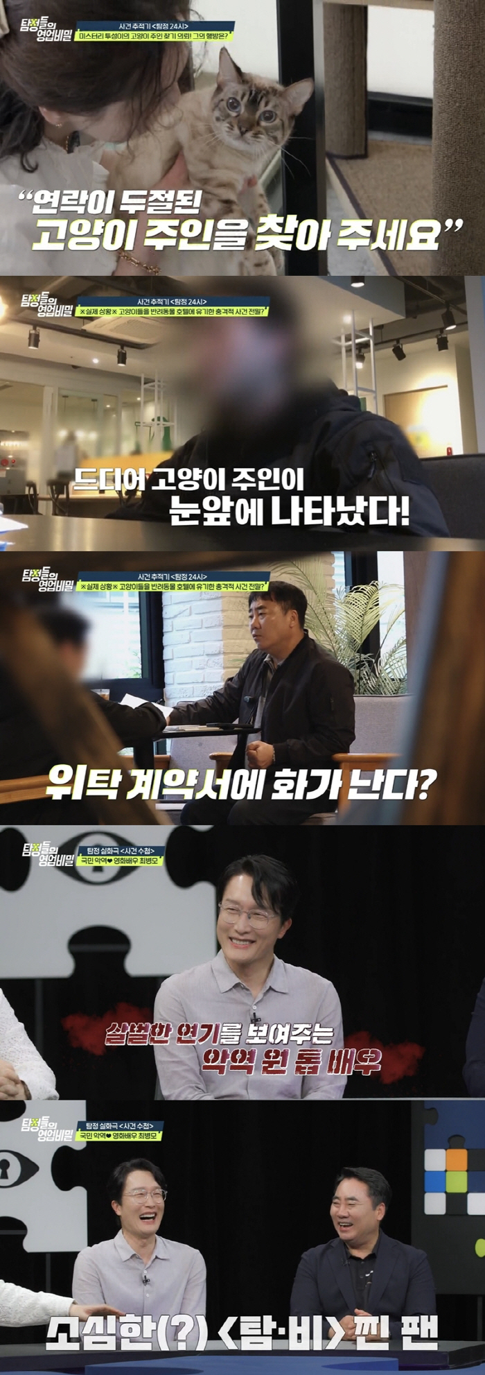 고양이 방치에 분노 폭발…주인은 잠수, 호텔비는 천만원(영업비밀)