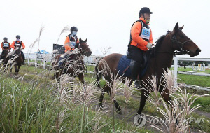 '말의 고장' 제주 자연을 누빈다…올해 제주서 승마대회 9개
