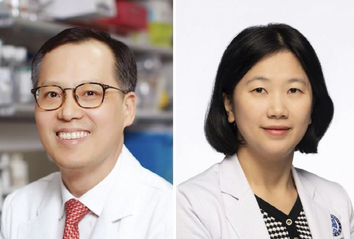 폐암·대장암·췌장암 원인 유전자 표적치료제 임상 1상…기존 치료제 대비 …