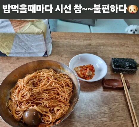 구성환 "밥 먹을 때마다 시선 불편해"…꽃분이 감시에 '불편한 식사'