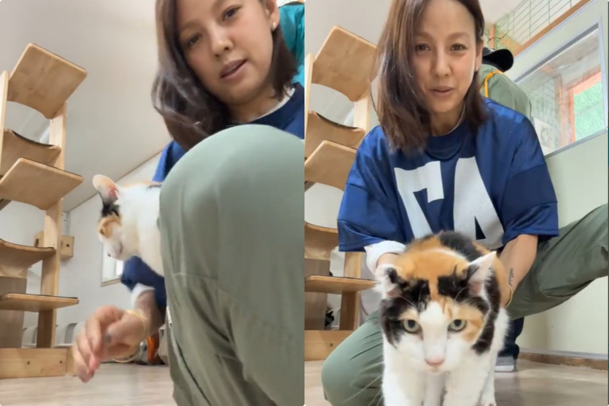 이효리, 또 유기동물 봉사활동.."서울 이사 왔으니, 더 자주오겠다"