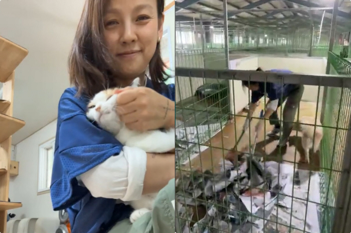 이효리♥이상순 부부, 또 선행..유기동물보호소 사료 2톤 기부+청소 봉사…