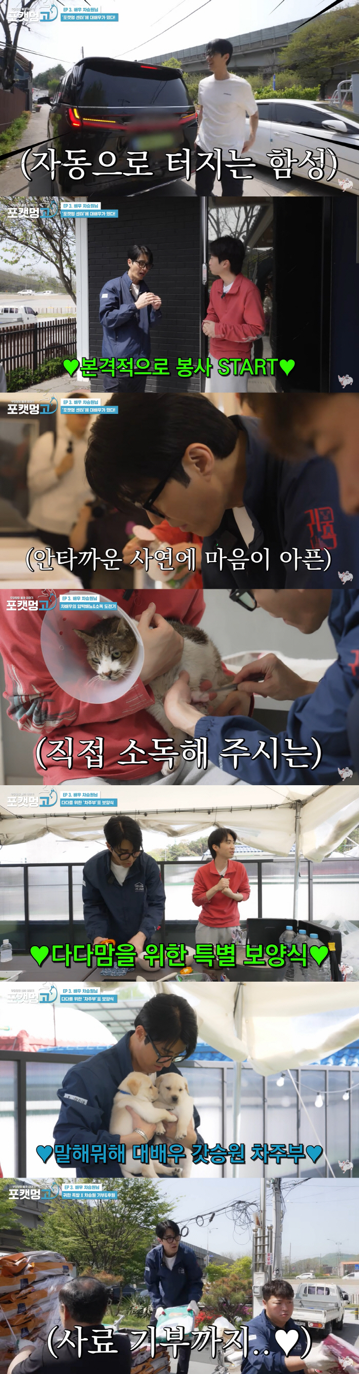 차승원, 천안서 학대당한 길고양이 도왔다..사료 1톤 기부까지 '훈훈'