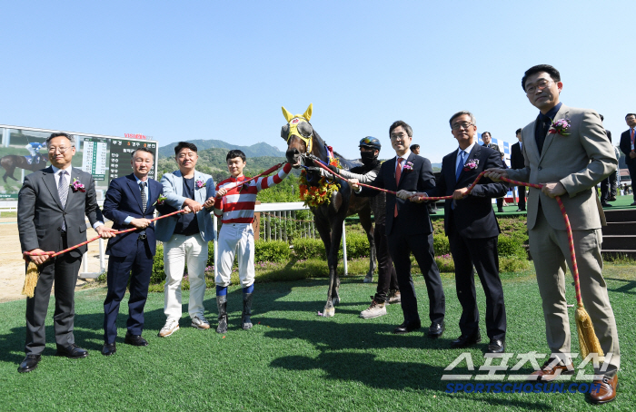 [스포츠조선배 대상경주]'6전5승' 최강馬 대역전극 폭발! '용암세상',…