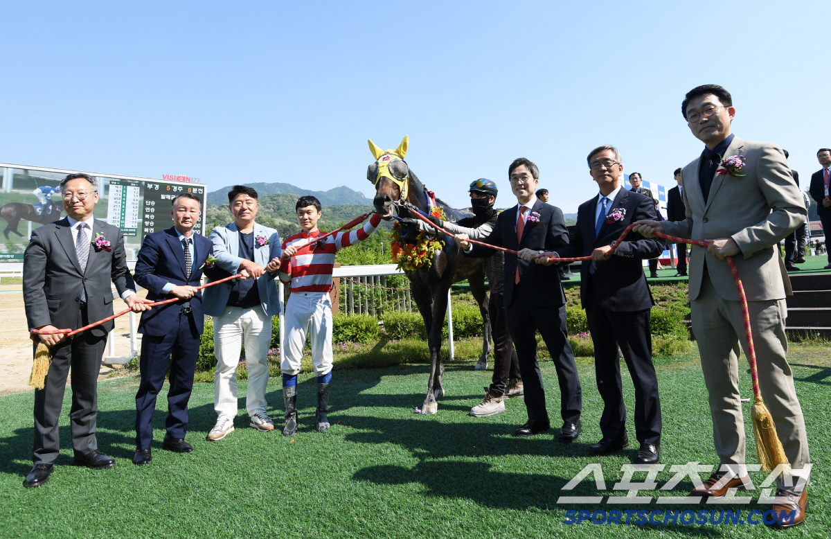 [스포츠조선배 대상경주]'6전5승' 최강馬 대역전극 폭발! '용암세상',…